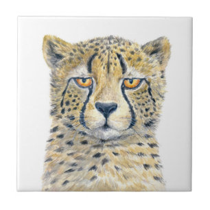Cheetah Tegeltje