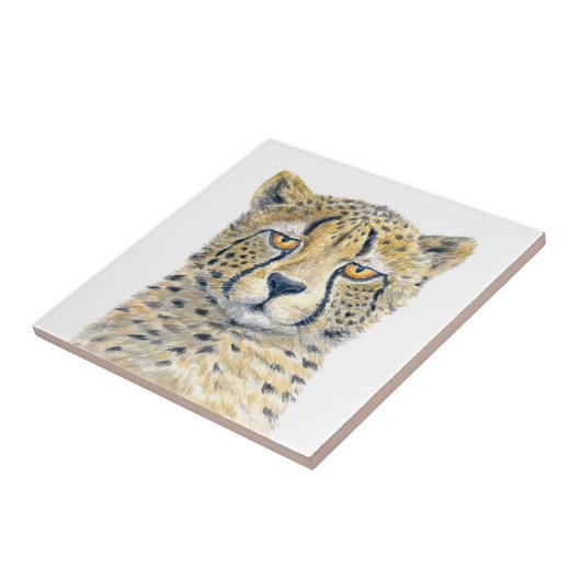 Cheetah Tegeltje (Zijkant)