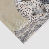 Cheetah Tissuepapier (Detail)