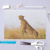 Cheetah Tissuepapier (Craft)