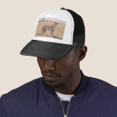 Cheetah Trucker Pet (In situ)