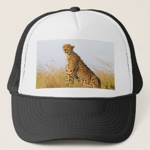 Cheetah Trucker Pet