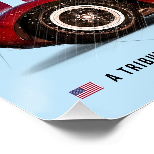 Cheetah V8 Tribute Perfect Poster (Hoek)