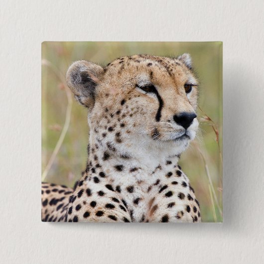 Cheetah Vierkante Button 5,1 Cm (Voorkant)