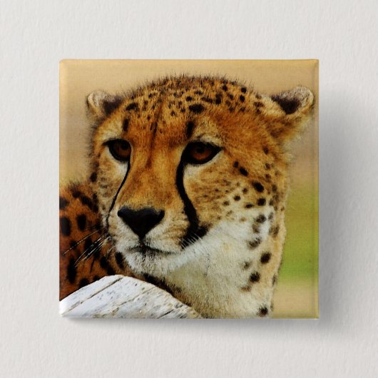 Cheetah Vierkante Button 5,1 Cm (Voorkant)