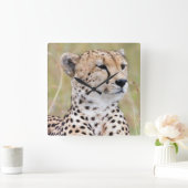 Cheetah Vierkante Klok (Huis)