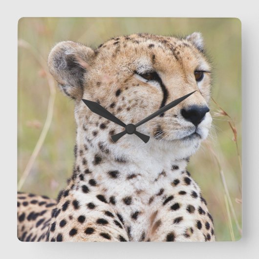 Cheetah Vierkante Klok (Voorkant)