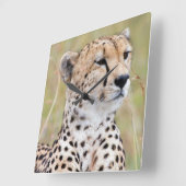 Cheetah Vierkante Klok (Hoek)