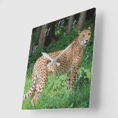 Cheetah Vierkante Klok (Hoek)