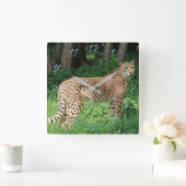 Cheetah Vierkante Klok (Huis)