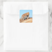 Cheetah Vierkante Sticker (Tas)