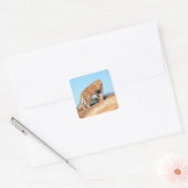 Cheetah Vierkante Sticker (Envelop)