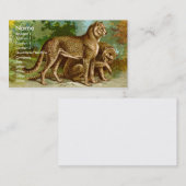 Cheetah Visitekaartje (Voorkant / Achterkant)