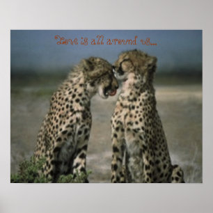 Cheetah vrienden poster