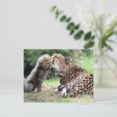 Cheetah vrouw & Cub Briefkaart (Staand voorkant)