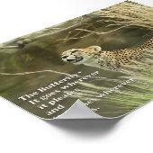 CHEETAH WATCHING BUTTERFLY POSTER PROVERB (Hoek)