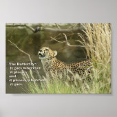CHEETAH WATCHING BUTTERFLY POSTER PROVERB (Voorkant)
