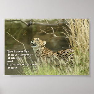 CHEETAH WATCHING BUTTERFLY POSTER PROVERB