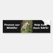 Cheetah Wild Cat Dierenliefhebber Bumpersticker (Voorkant)