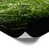 Cheetah Wild Cat Dierenliefhebber Wildlife Poster (Hoek)