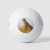 Cheetah wild dier Big Cat foto Golfballen (Voorkant)