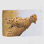 Cheetah wild dier Big Cat foto Golfhanddoek (Horizontaal)