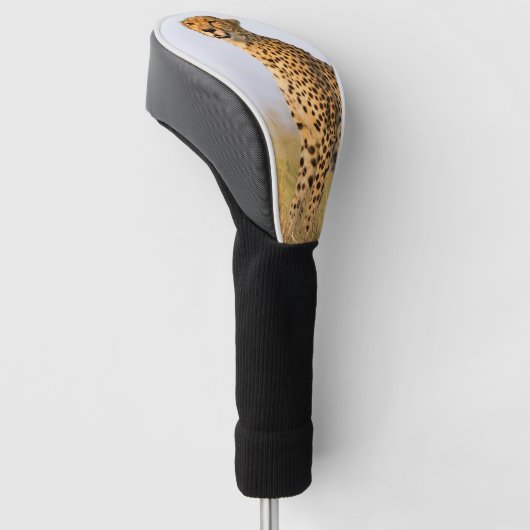 Cheetah wild dier Big Cat foto Golfheadcover (Schuin)