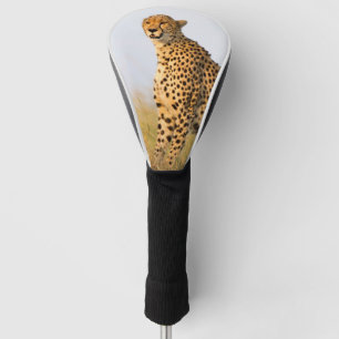 Cheetah wild dier Big Cat foto Golfheadcover