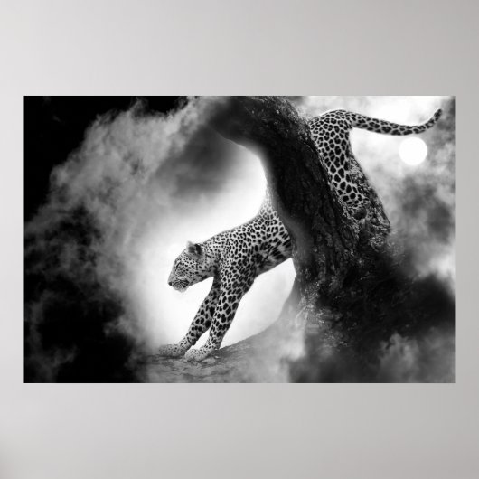 cheetah wilde kat op poster van de jacht (Voorkant)