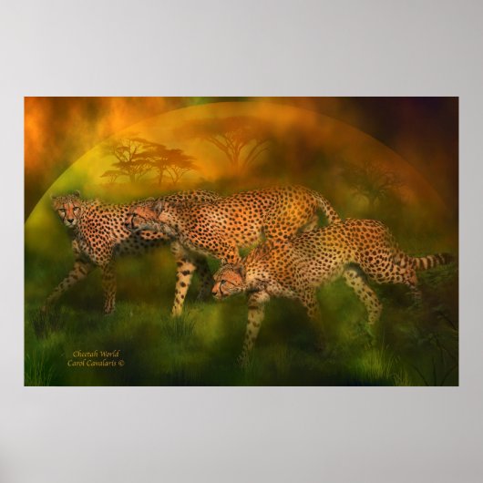 Cheetah World Art Poster/Print Poster (Voorkant)