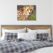 Cheetah Wrapped Canvas Print (Insitu (Slaapkamer))