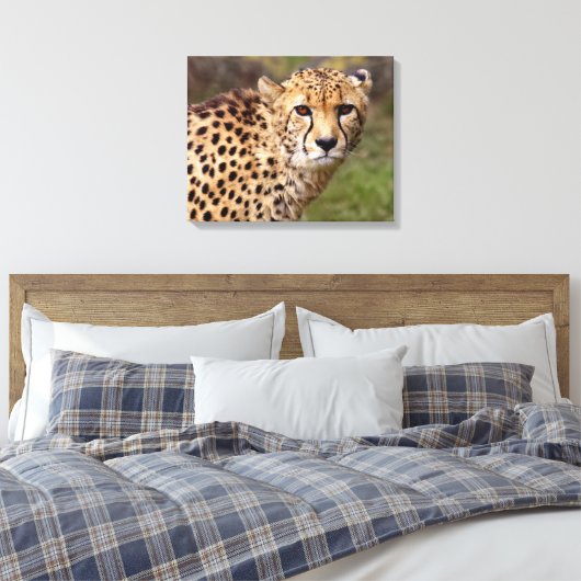 Cheetah Wrapped Canvas Print (Insitu (Slaapkamer))