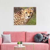 Cheetah Wrapped Canvas Print (Insitu (Woonkamer))