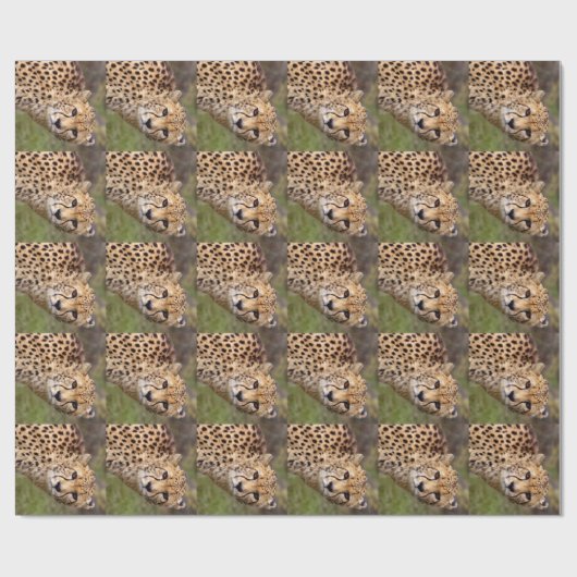 Cheetah Wrapping Paper Cadeaupapier (Vlak)