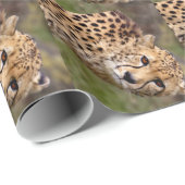 Cheetah Wrapping Paper Cadeaupapier (Rol Hoek)