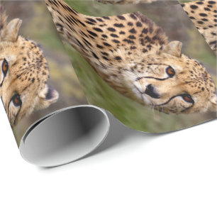 Cheetah Wrapping Paper Cadeaupapier