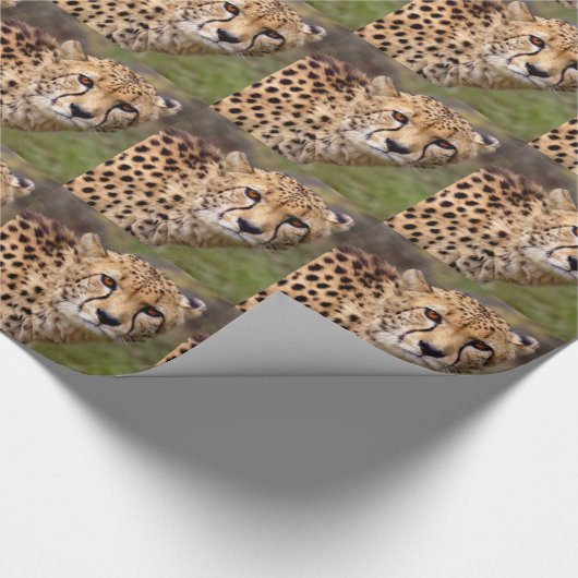 Cheetah Wrapping Paper Cadeaupapier (Hoek)