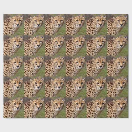 Cheetah Wrapping Paper Cadeaupapier (Vlak)