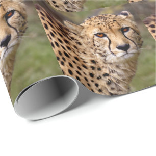 Cheetah Wrapping Paper Cadeaupapier