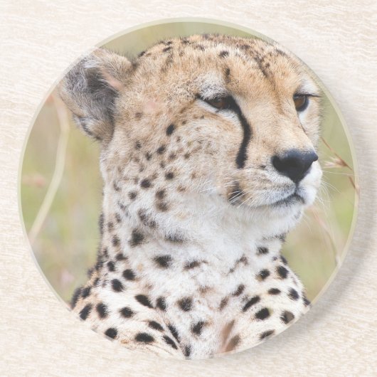 Cheetah Zandsteen Onderzetter (Voorkant)