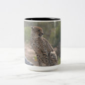 Cheetah zit op een omgevallen boom in het wild tweekleurige koffiemok (Center)