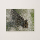Cheetah Zone Puzzle Legpuzzel (Horizontaal)