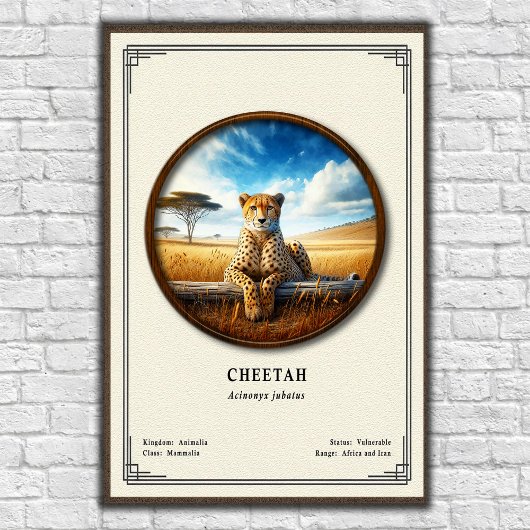 Cheetah Zoology Series Poster