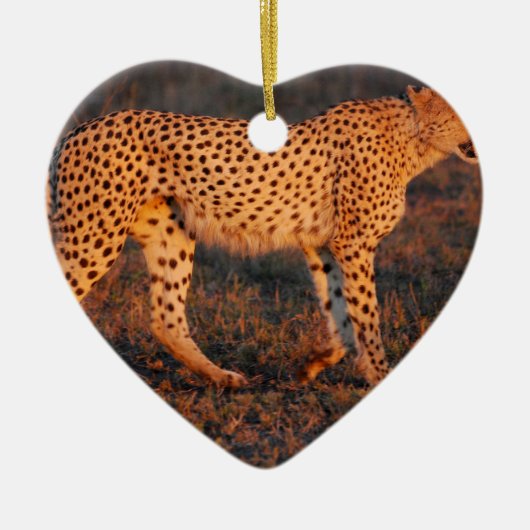 Cheetah Zuid-Afrika op Sunset Keramisch Ornament (Voorkant)