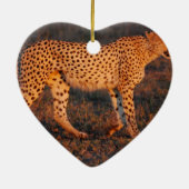 Cheetah Zuid-Afrika op Sunset Keramisch Ornament (Achterkant)
