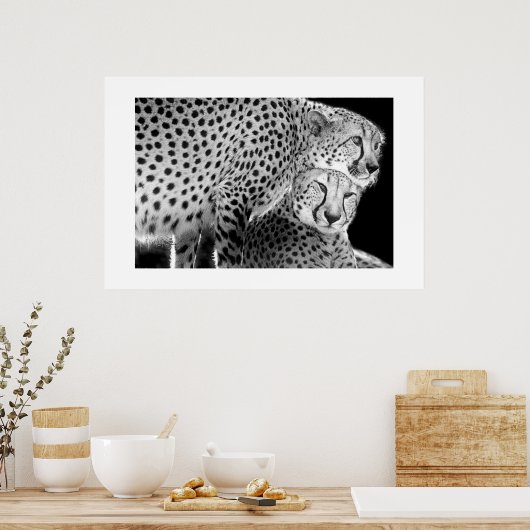 Cheetahs #1 poster (Keuken)