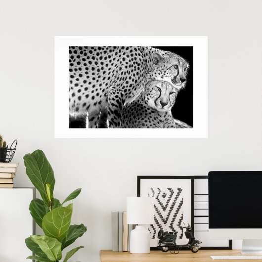 Cheetahs #1 poster (Thuiskantoor)
