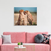 Cheetahs Canvas Afdruk (Insitu (Woonkamer))