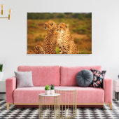 Cheetahs Canvas Afdruk (Insitu (Woonkamer))
