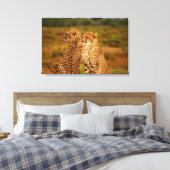 Cheetahs Canvas Afdruk (Insitu (Slaapkamer))